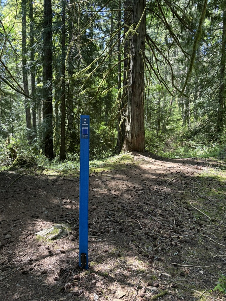 Route photo