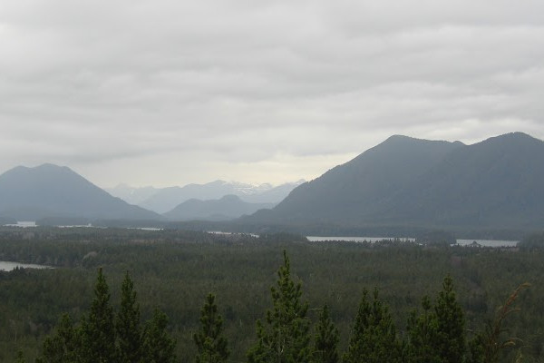 Meares Island