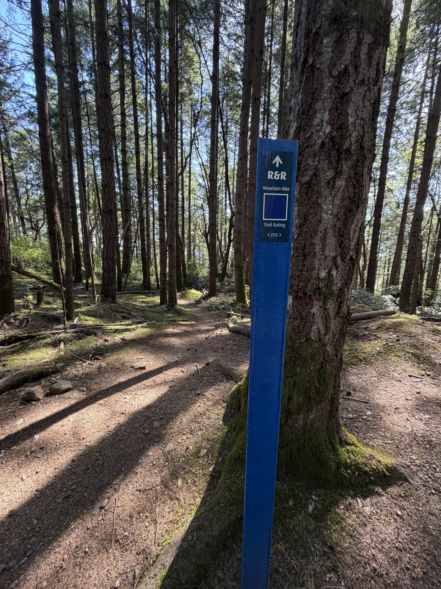 Route photo