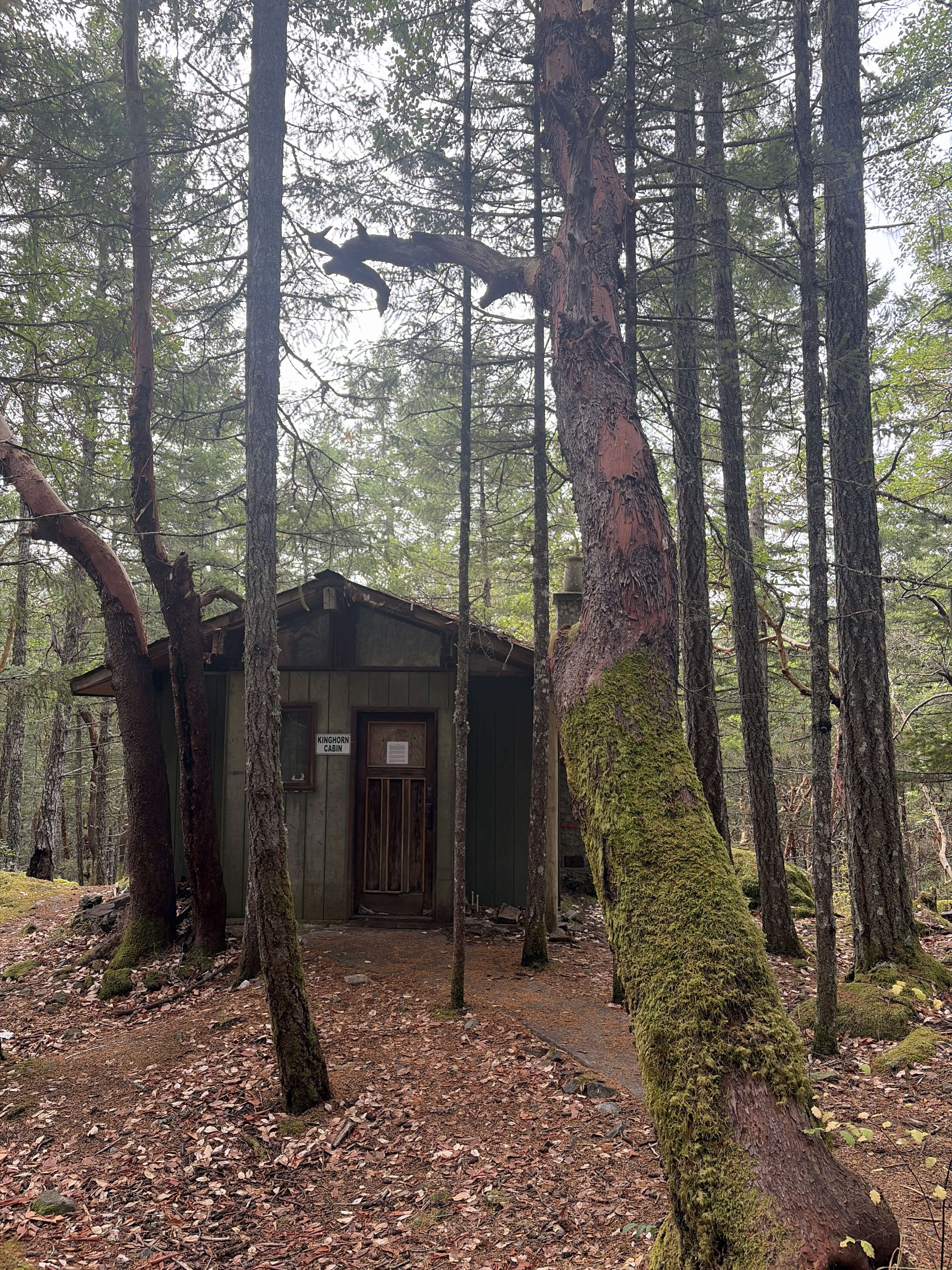Kinghorn cabin