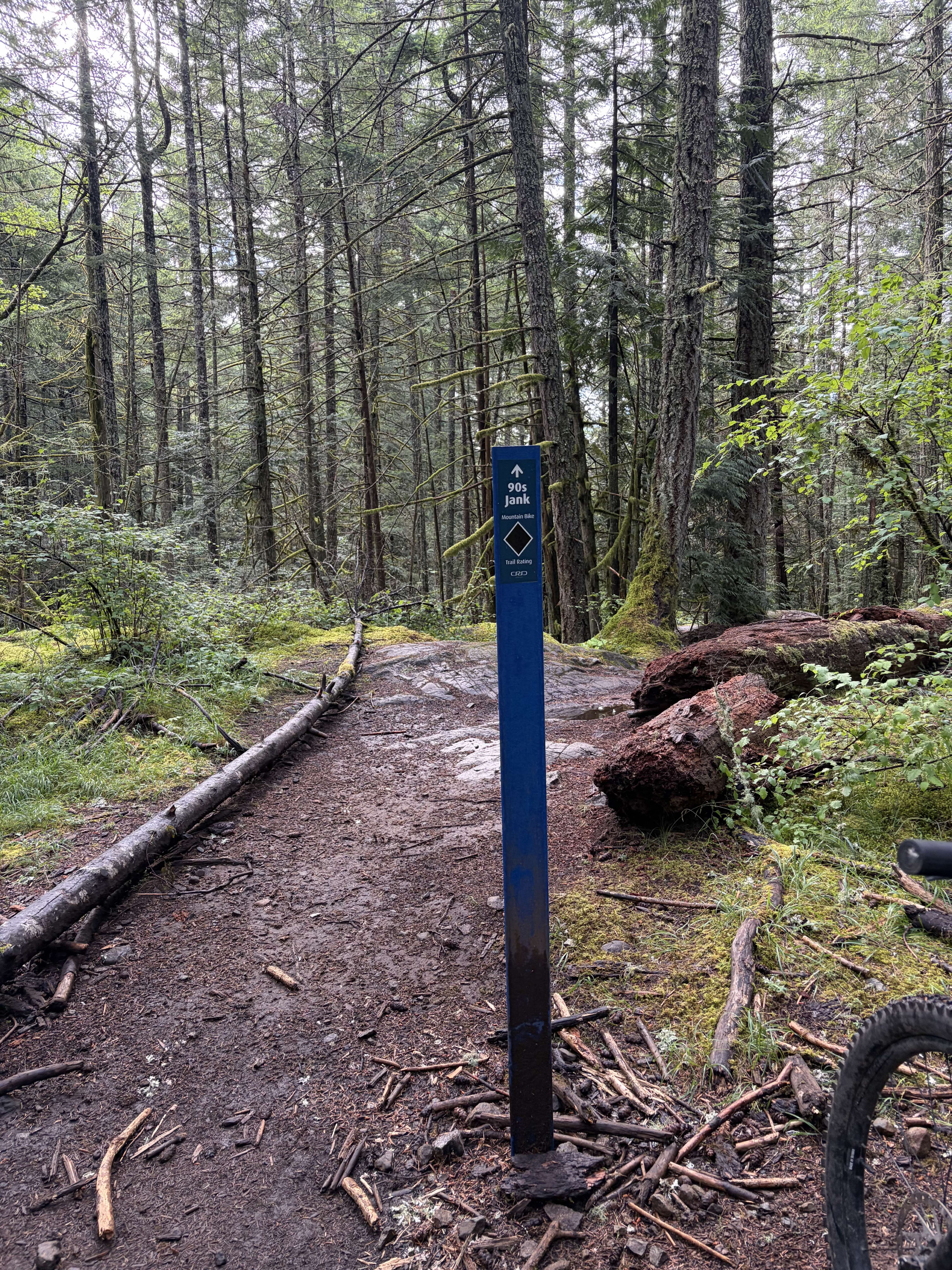 Fun trail to torpedo